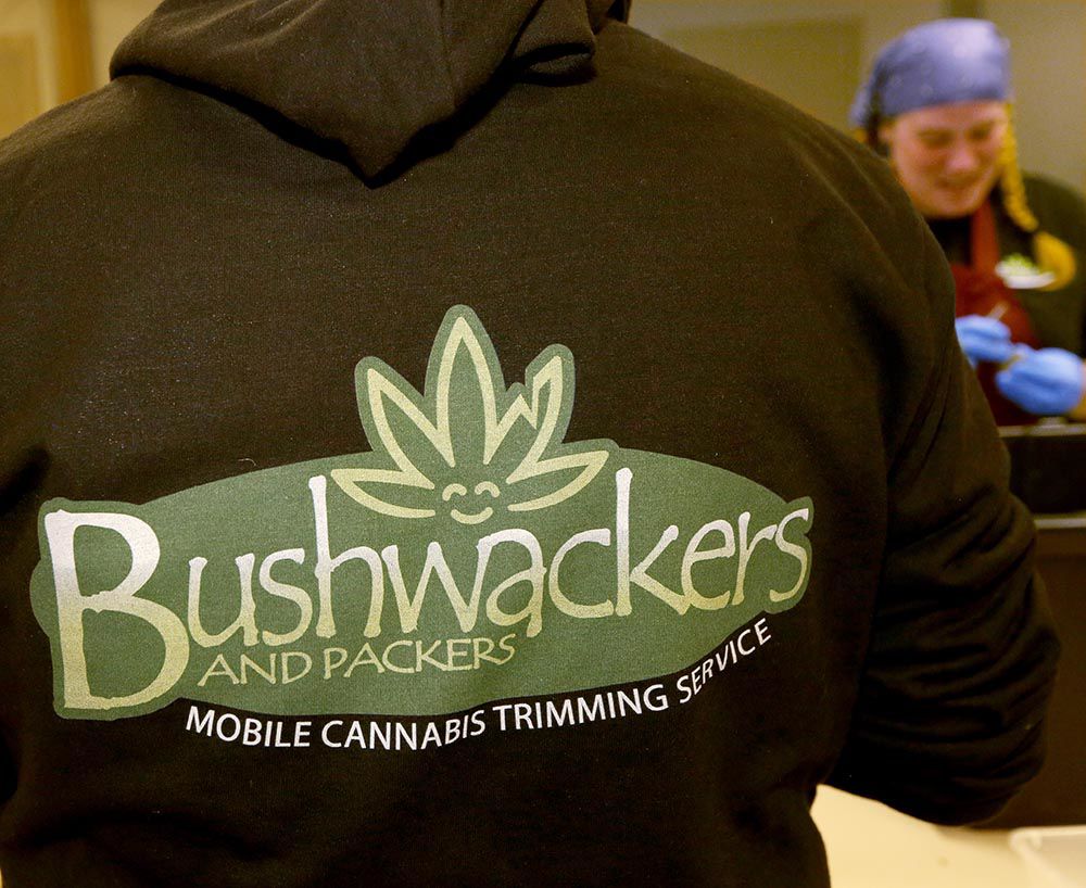 Bushwackers